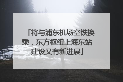 将与浦东机场空铁换乘，东方枢纽上海东站建设又有新进展